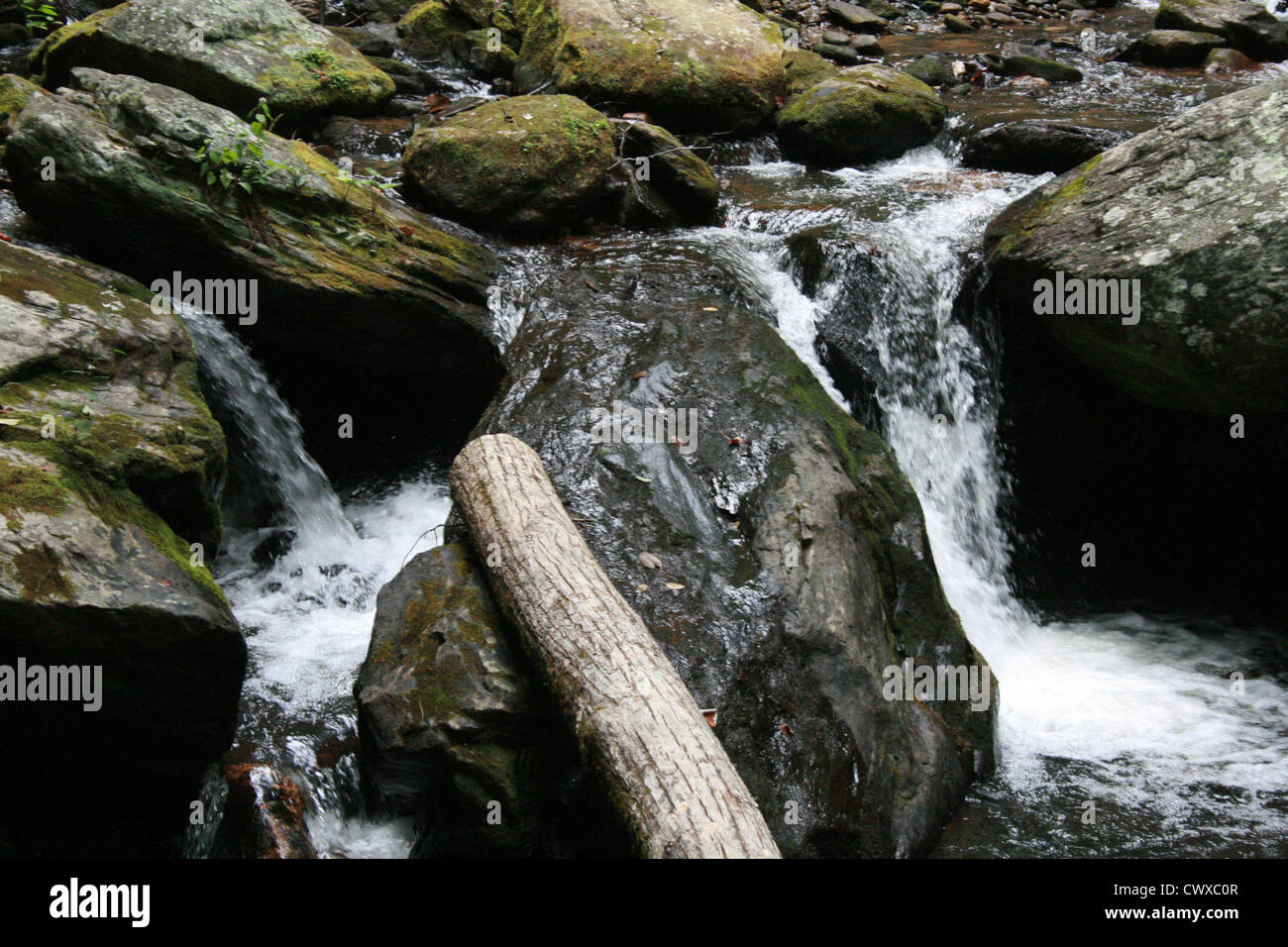 Torrenti di montagna fiumi insenature stream creek Foto Stock