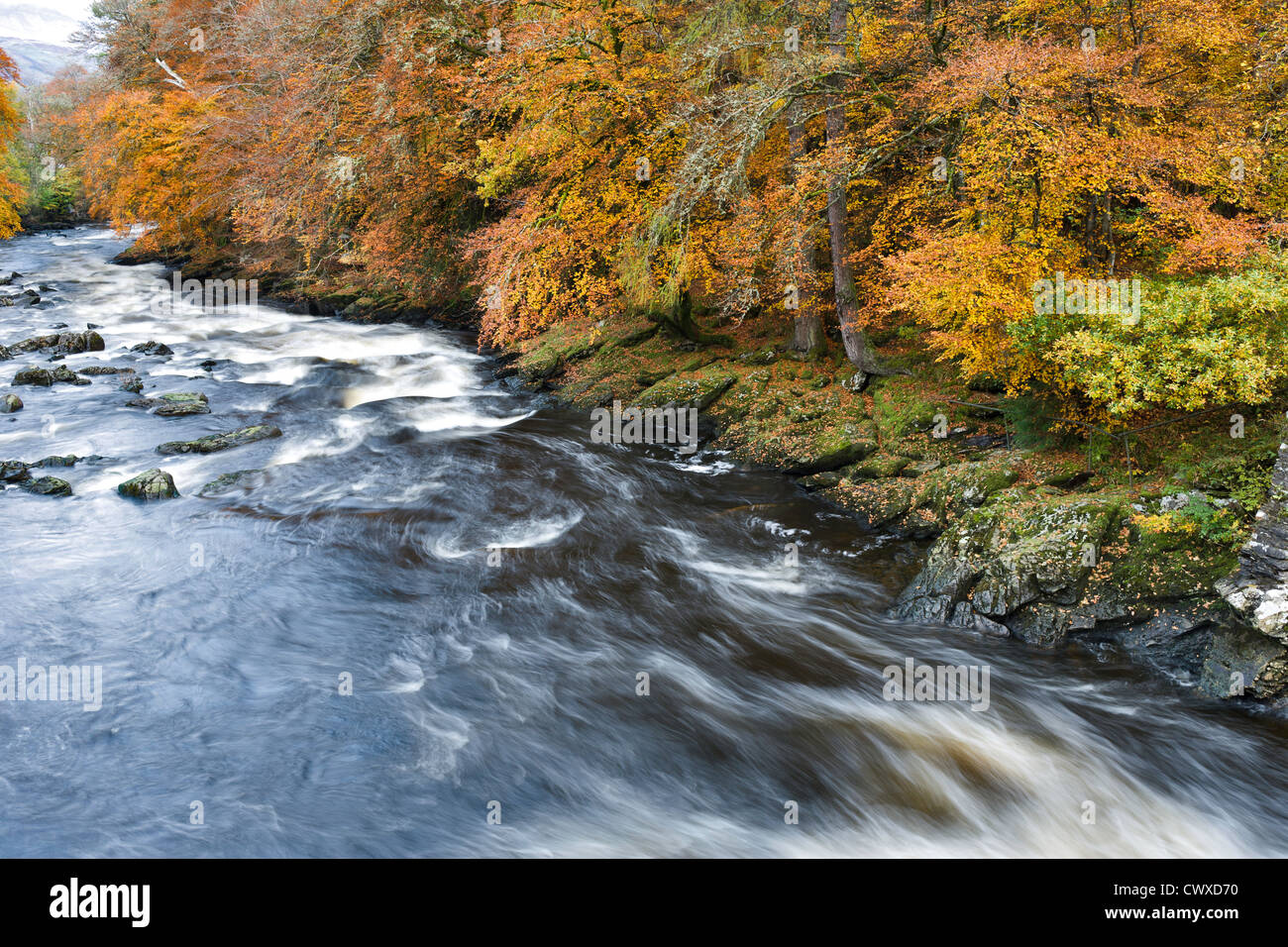 Il fiume Dochart appena sotto le cascate di Dochart, in meravigliosi colori autunnali. Foto Stock