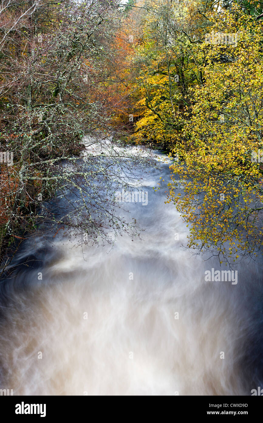 Il fiume Dochart appena sotto le cascate di Dochart, in meravigliosi colori autunnali. Foto Stock