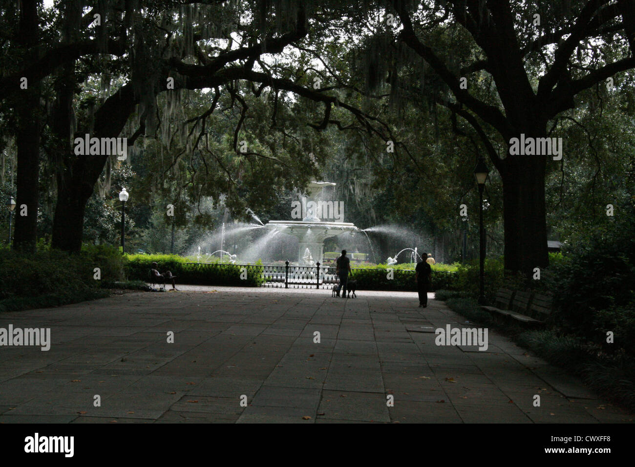 Fontana di Forsyth Savannah in Georgia ga forsythe fontane architettura storica Foto Stock