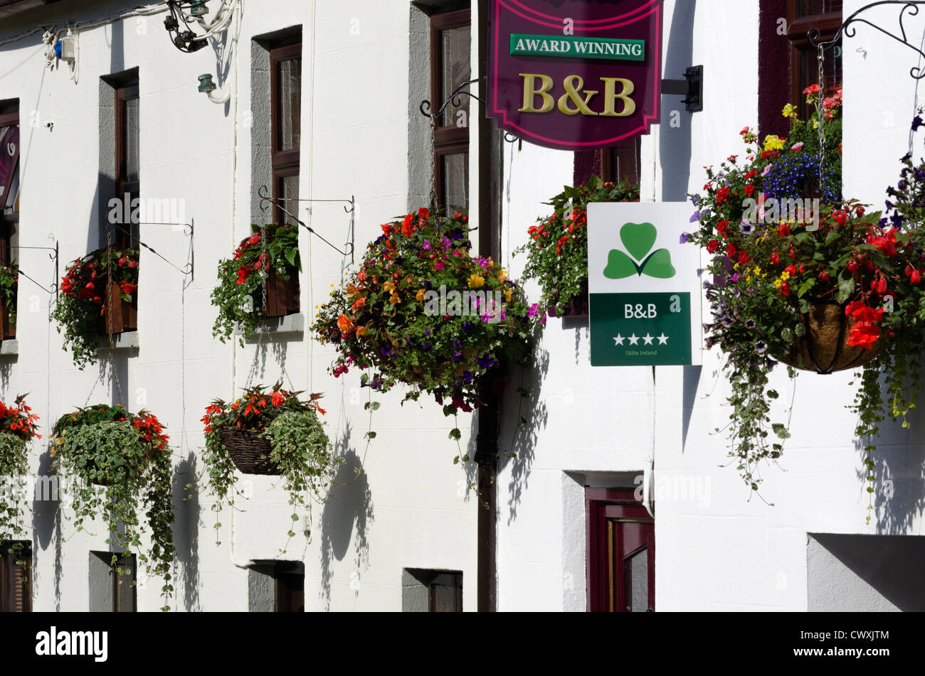 Nei cestini appesi al di fuori di un B&B in Repubblica di Irlanda Foto Stock
