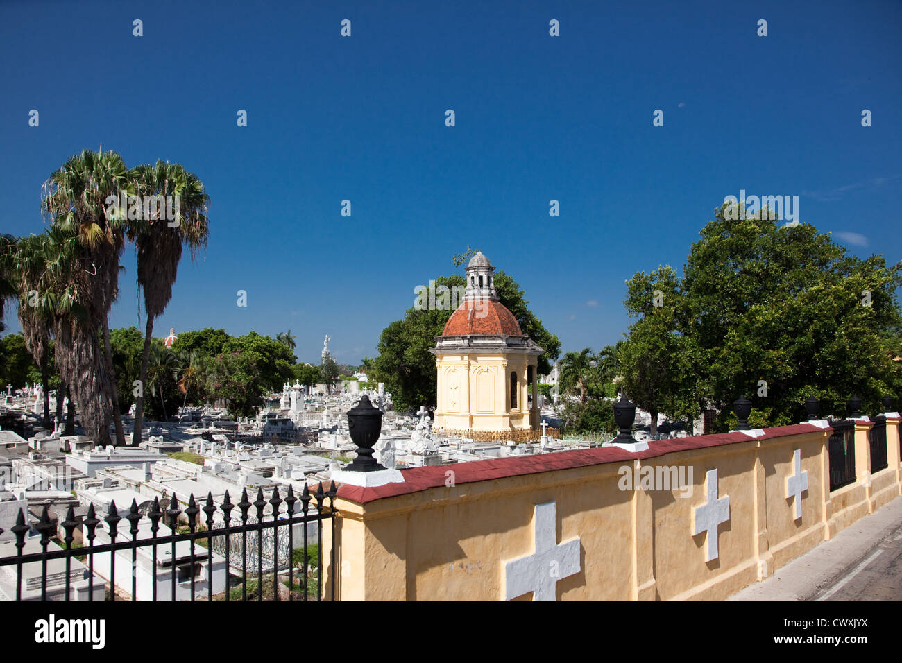 Il grande cimitero di Colon ora ospita i resti di quasi come molti come vivono i residenti nella Città dell Avana, Cuba. Foto Stock