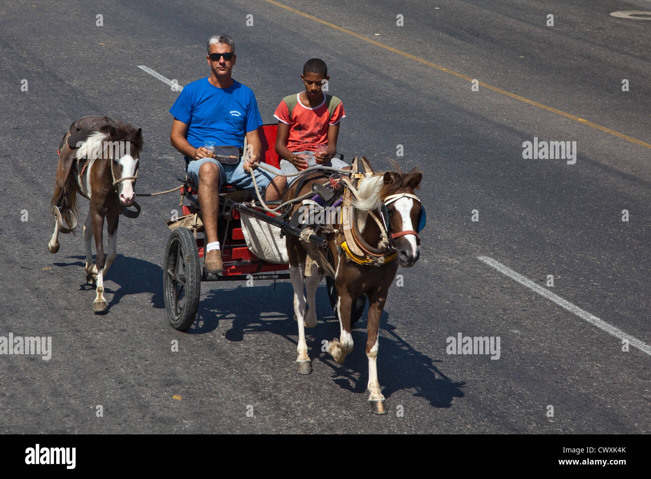 Cavalli e carri ancora fanno la loro comparsa sulle strade di l'Avana. Foto Stock