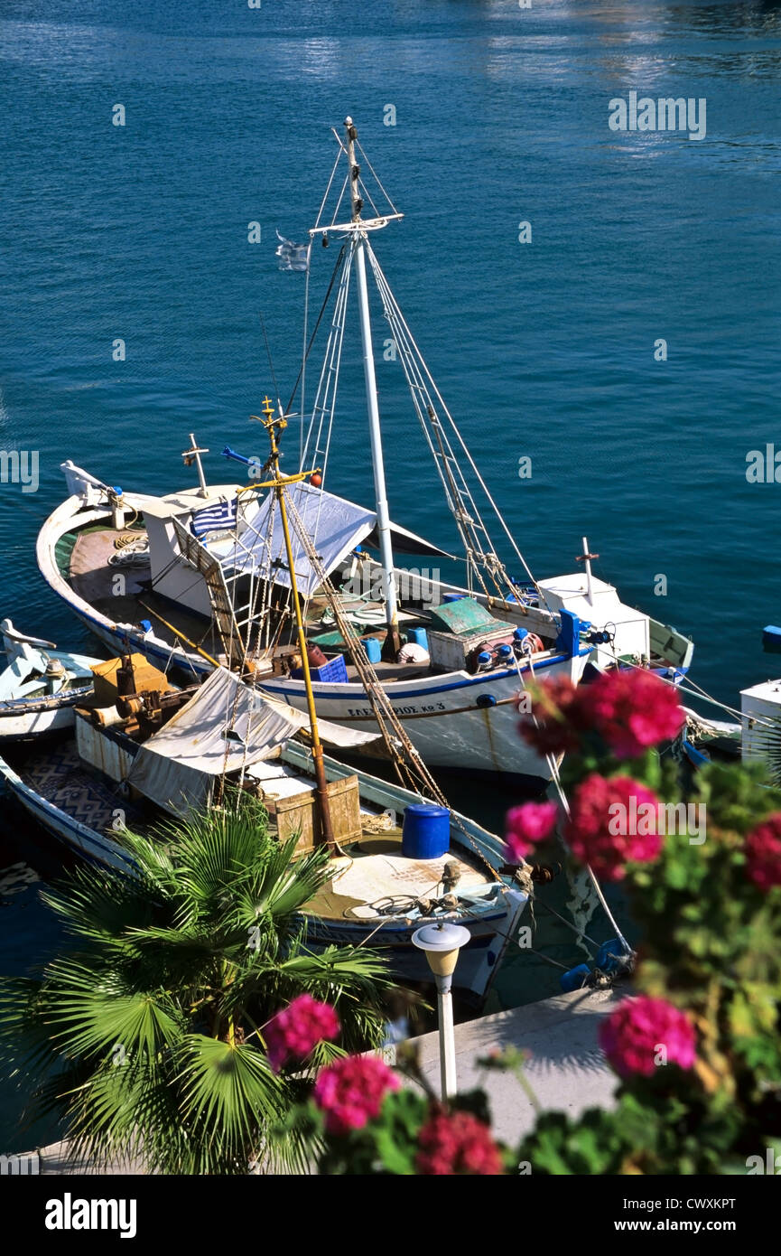 8078. Porto, la città di Kos, Kos, Grecia Foto Stock