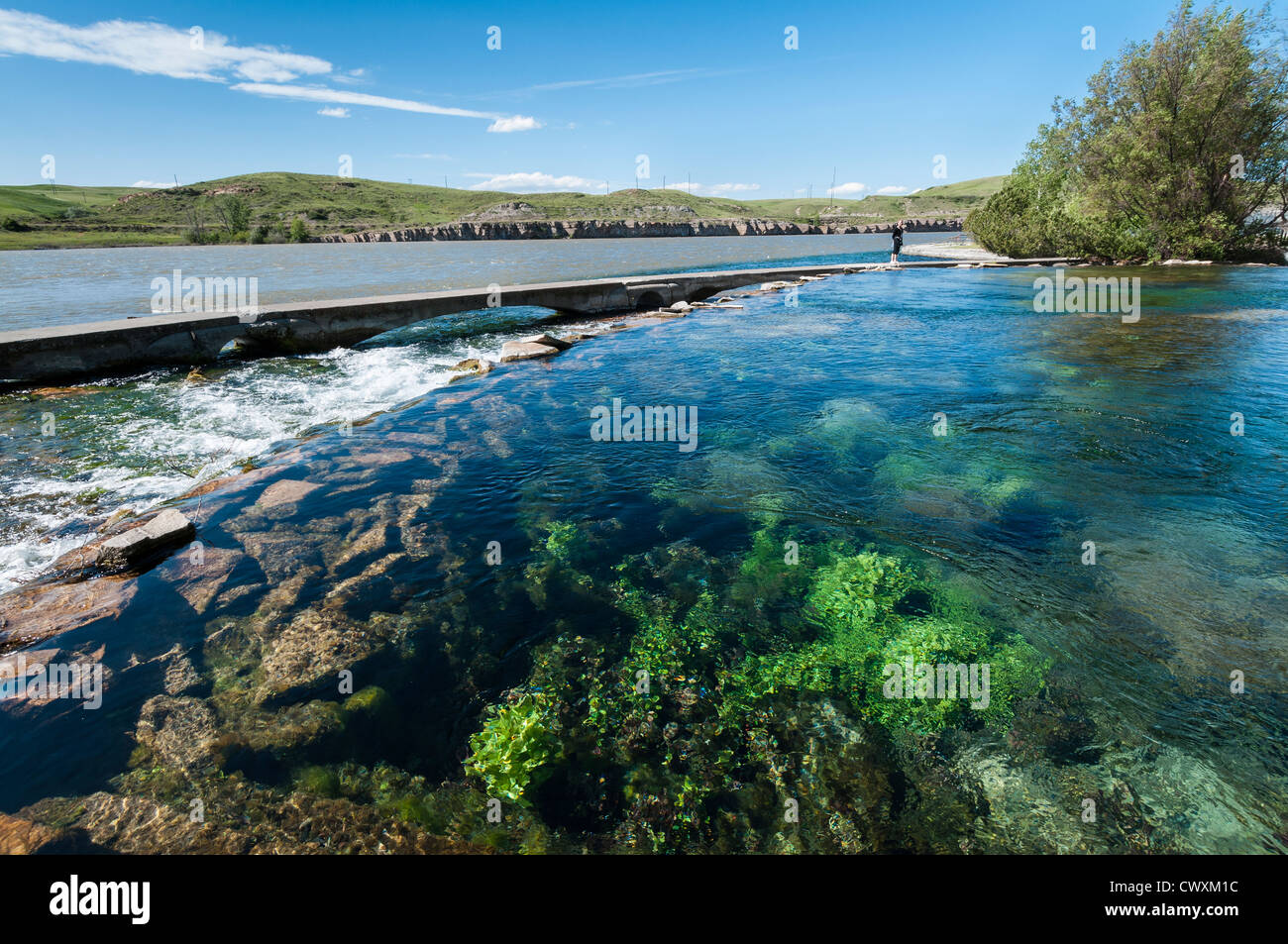 Giant Springs confluisce nel fiume Missouri a Giant Springs State Park, Great Falls, Montana. Foto Stock