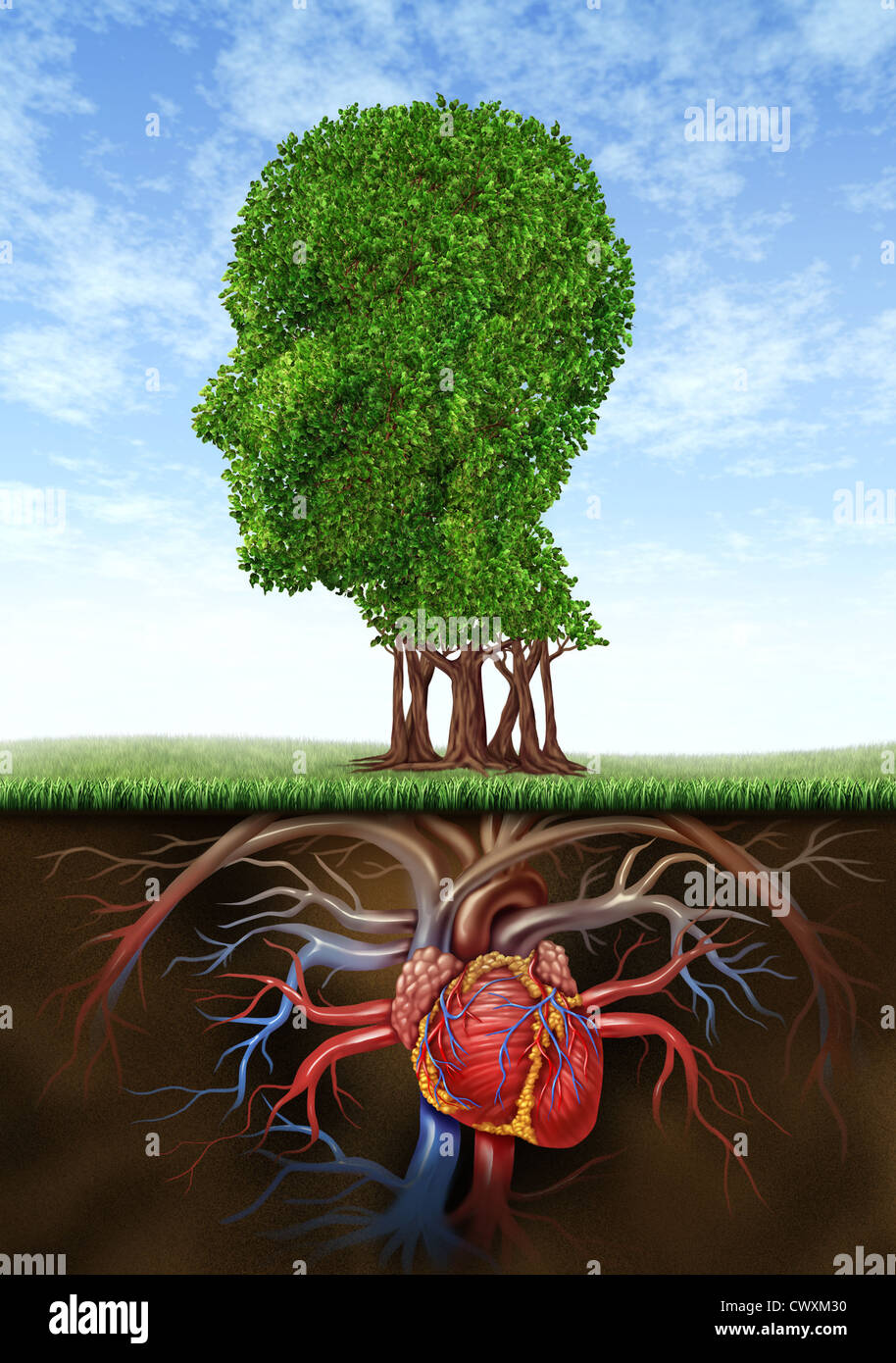Un sano di mente e di cuore con un albero a forma di una testa umana e un organo di cuore come radici crescente sotto terra che rappresentano il settore medico e sanitario collegamento biologico tra cervello intelligenza con la circolazione sanguigna sistema. Foto Stock