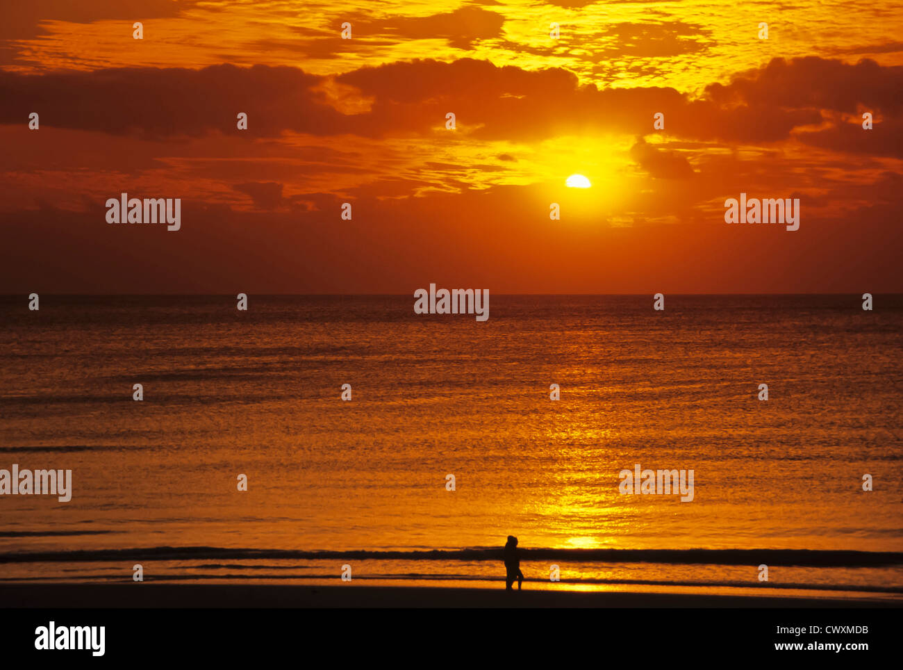 8097. Tramonto sul mare Foto Stock