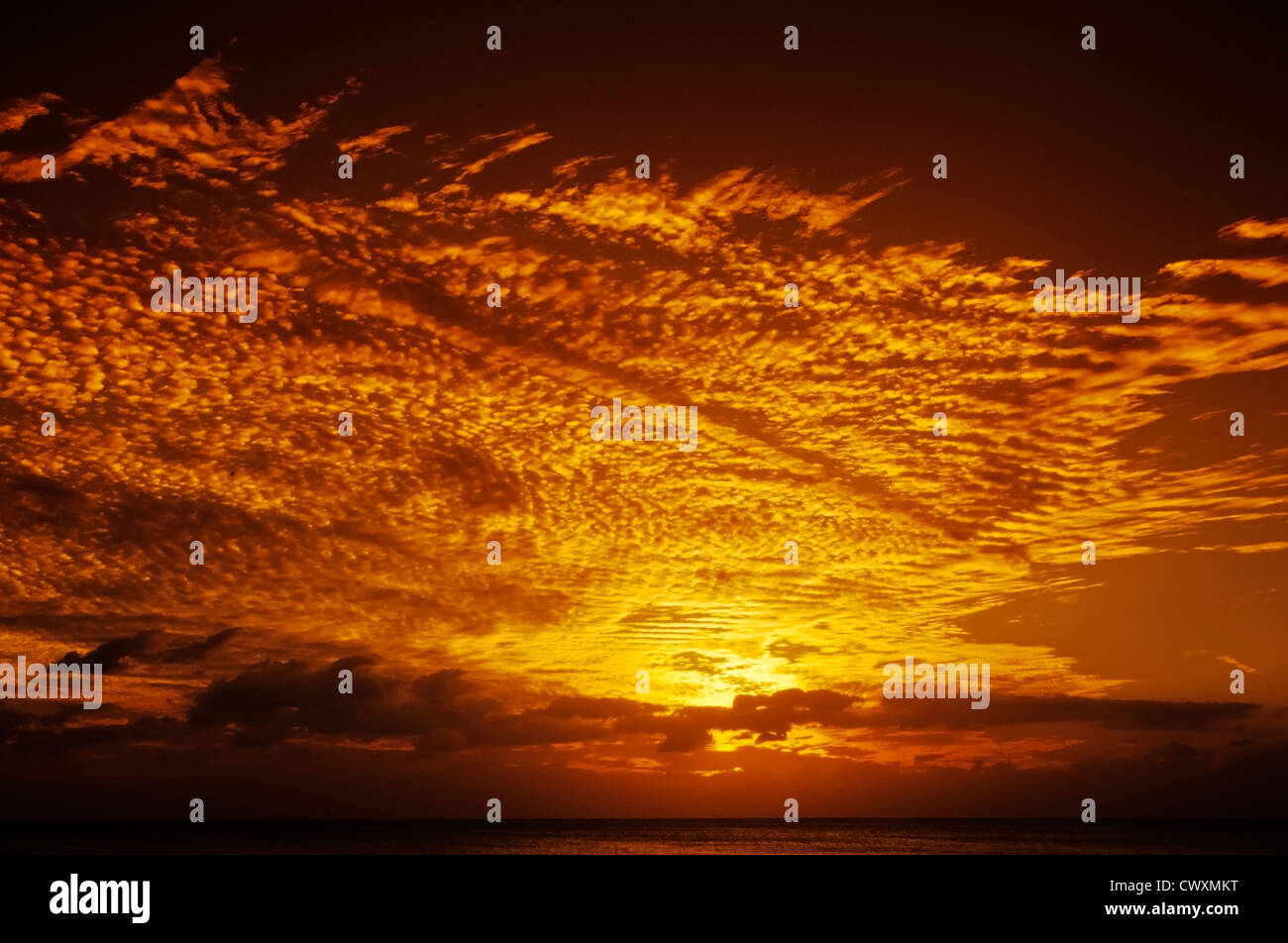 8105. Tramonto sul mare Foto Stock