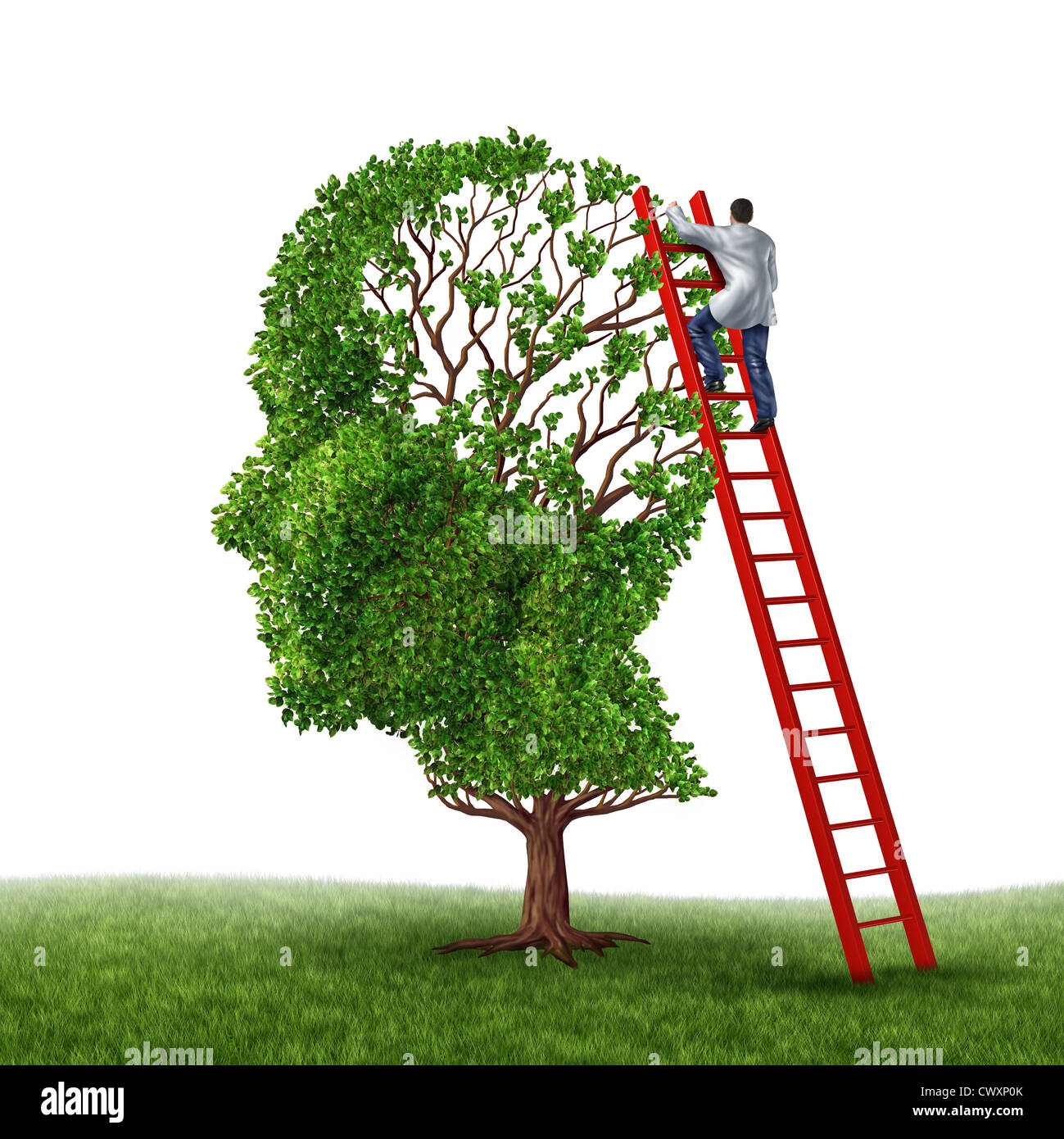 Cervello e memoria esame medico con un medico su una scala rossa salire in alto per ispezionare una testa umana struttura sagomata come un simbolo di dem Foto Stock