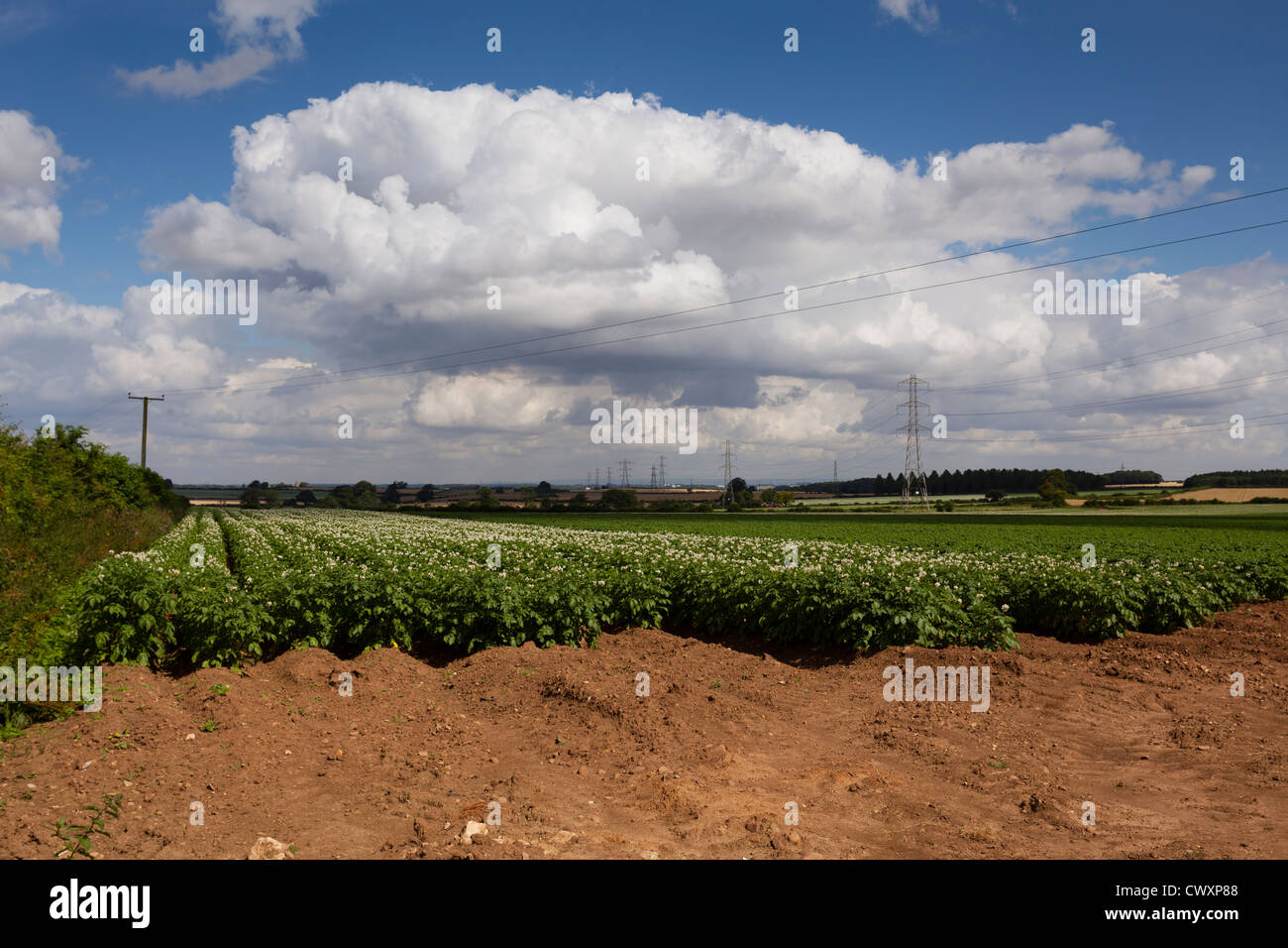 Lapide che ricorda la battaglia di Bramham Moor il 19 febbraio 1408. Foto Stock