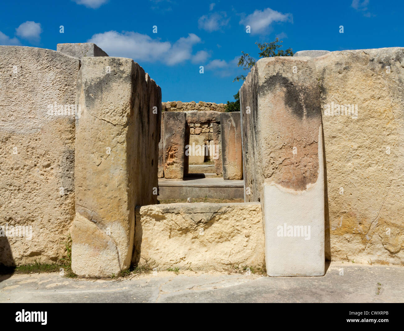 I Templi di Tarxien situato sul tempio del neolitico Street, Tarxien, isola di Malta, Mare Mediterraneo Foto Stock