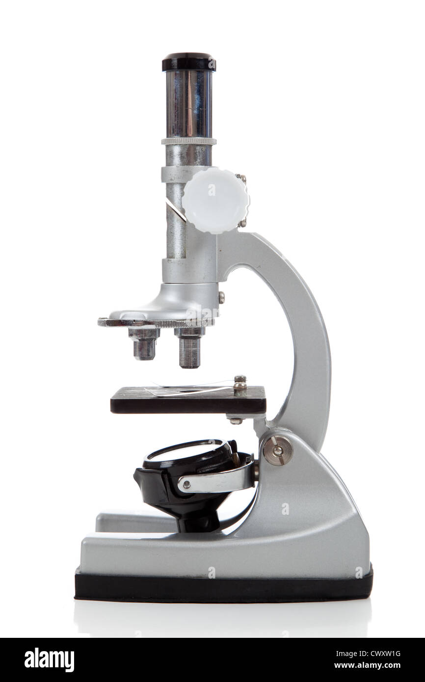 Un microscopio su sfondo bianco Foto Stock