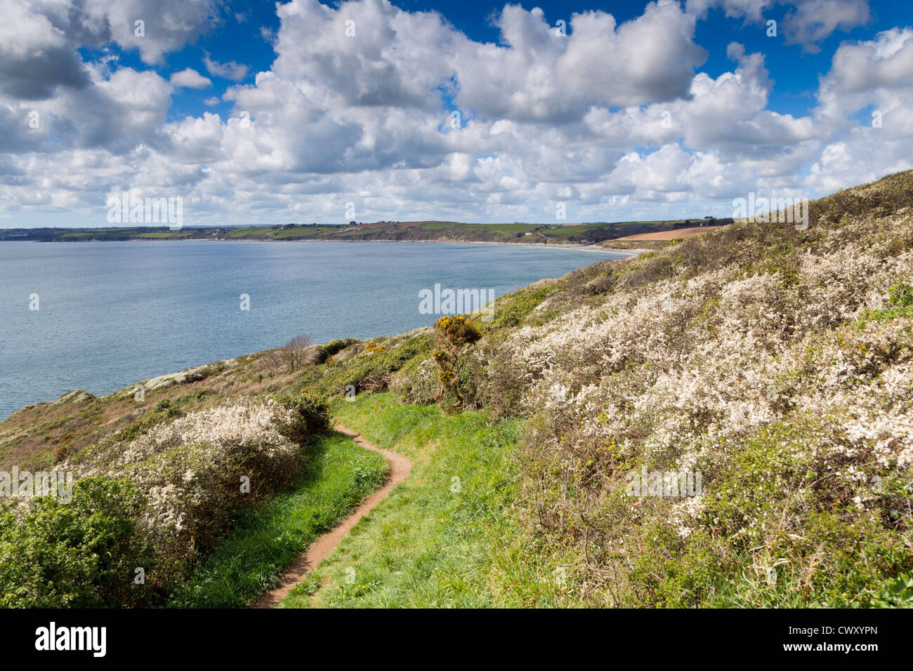 Nsi testa; guardando verso la spiaggia Pendower; San Giusto in Roseland; Cornovaglia; Regno Unito Foto Stock