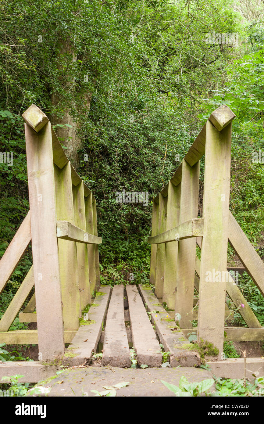 Bassa angolazione di un ponte di legno su un flusso nei boschi. Foto Stock