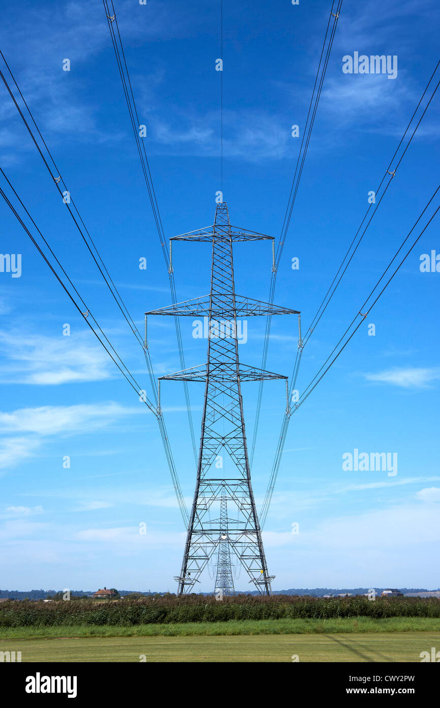 Pilone di elettricità e il campo Foto Stock