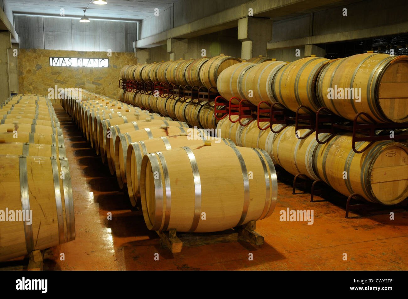 La cantina Pinord e botti vino immagazzinato agricoltura ecologica Priorat Tarragona Catalogna Spagna Foto Stock