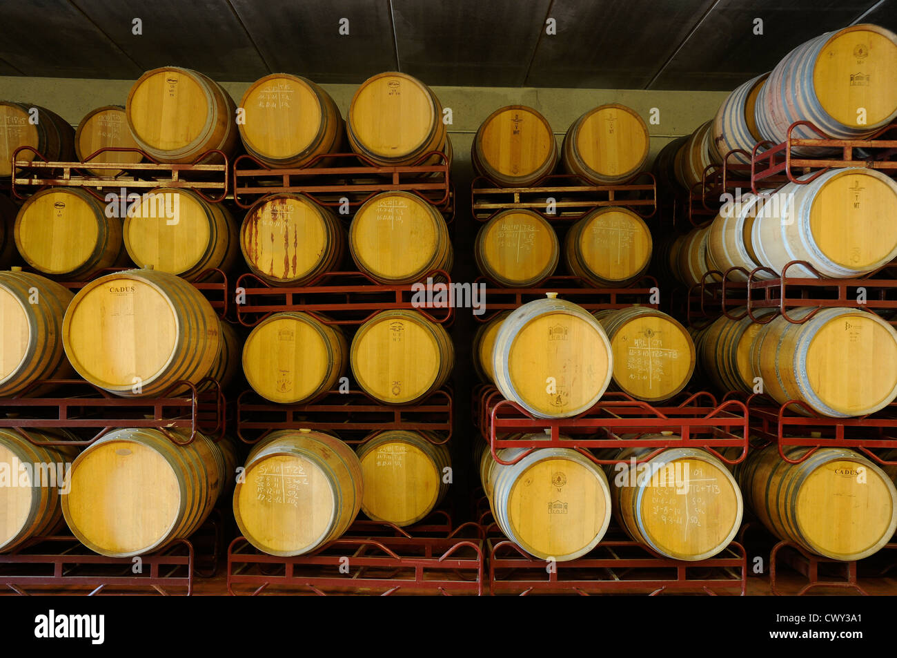 Oak botti da vino in cantina all'interno della cantina Cantine Cooperative Falset - Marça Priorat Tarragona. La Catalogna, Spagna Foto Stock