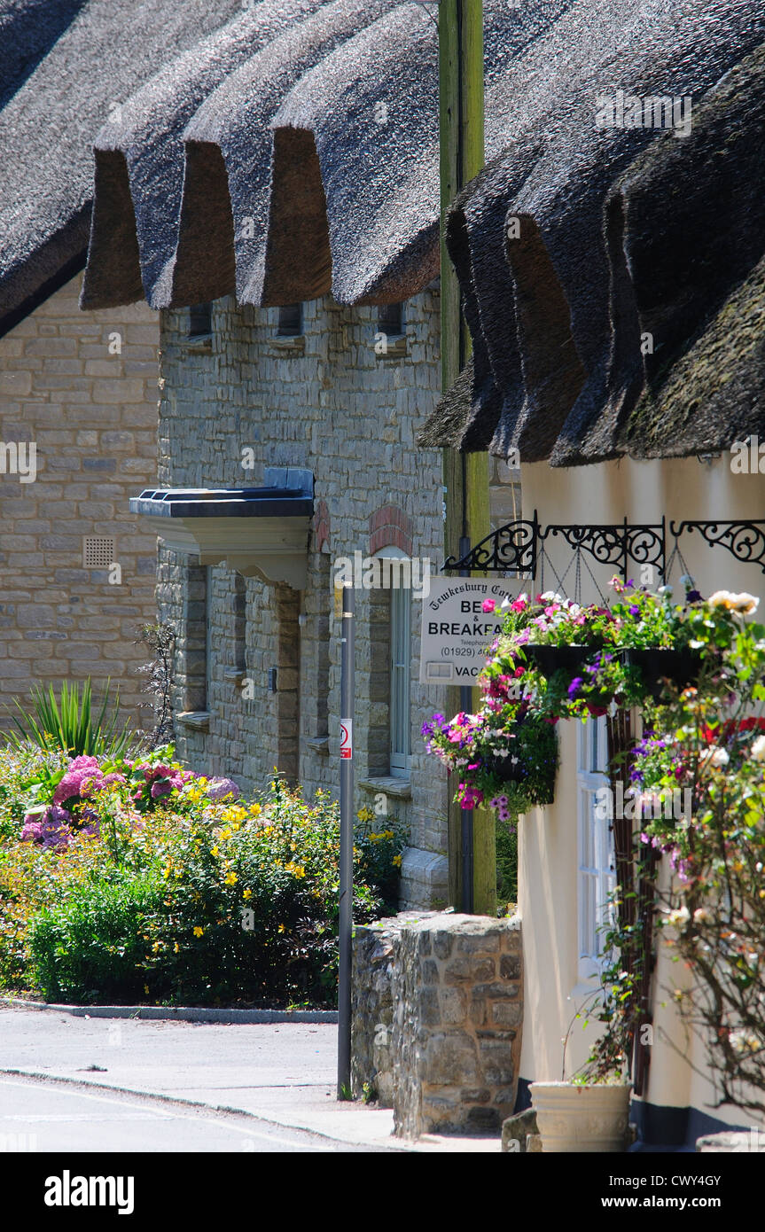 Una fila di cottage con il tetto di paglia a West Lulworth Dorset Regno Unito Foto Stock
