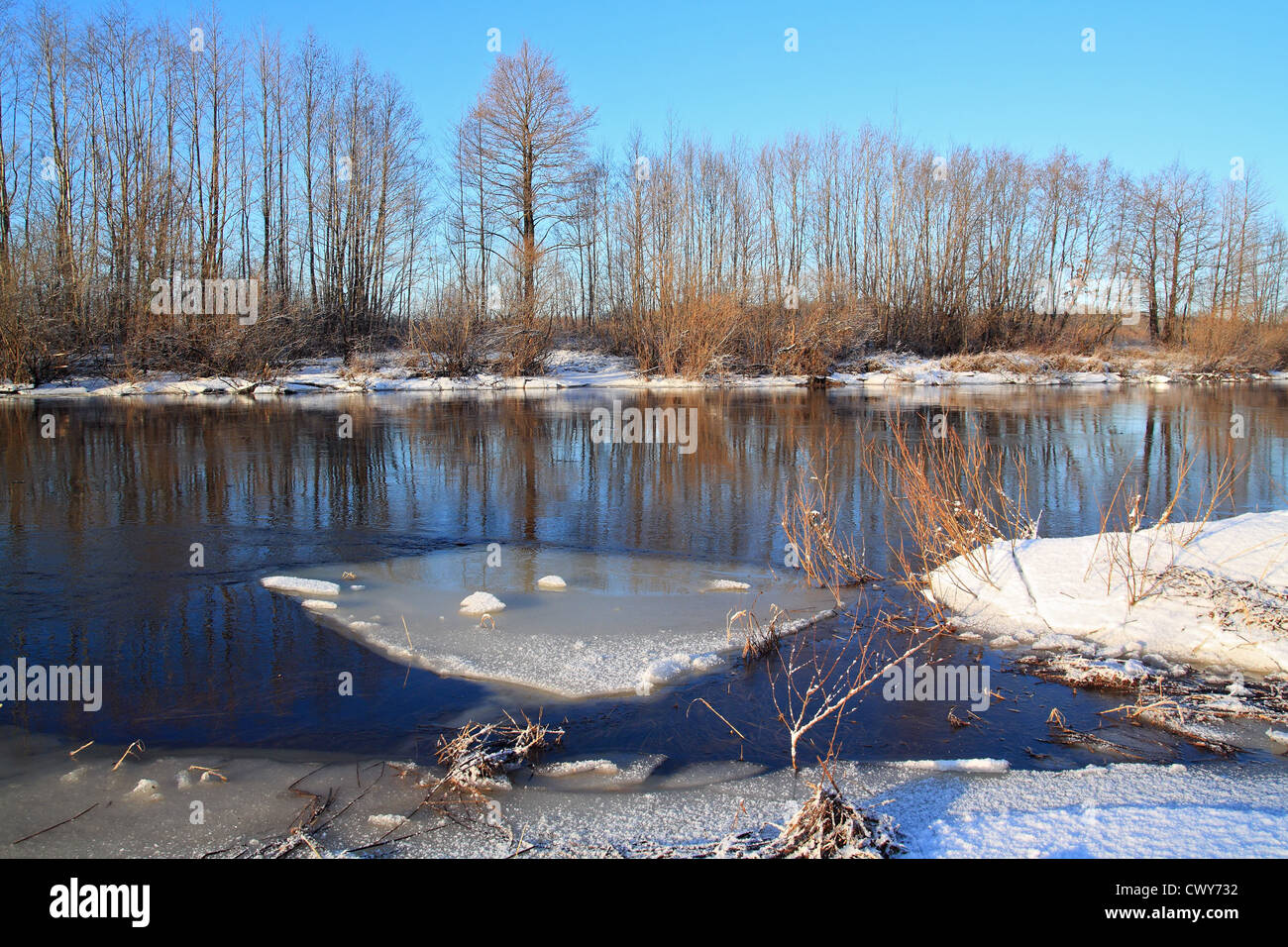 Bianco ghiaccio sul fiume di autunno Foto Stock