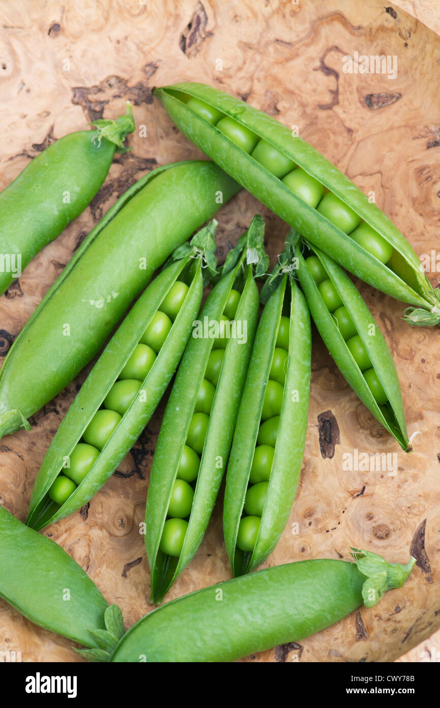 Pisum sativum. I piselli in cialde in una ciotola di legno Foto Stock