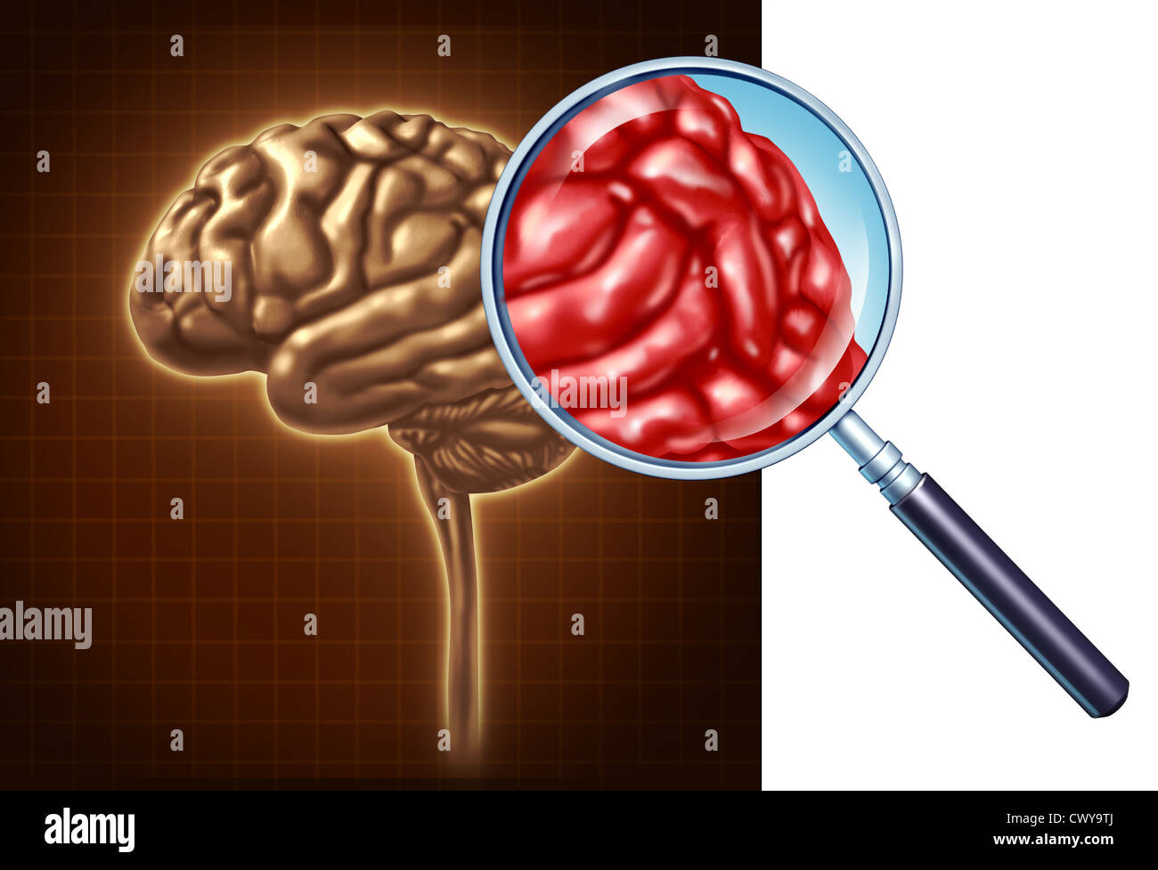Cervello close up con un focus sulle attività neurologiche utilizzando una lente di ingrandimento sull'anatomia umana per la memoria e di neurologia Foto Stock