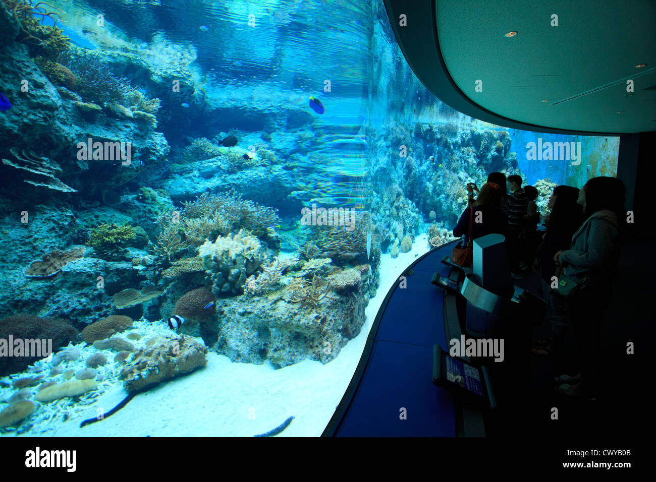 Gli ospiti godono di serbatoi di vetro piena di colorati pesci tropicali al Churaumi Aquarium a Okinawa, Giappone. Foto Stock