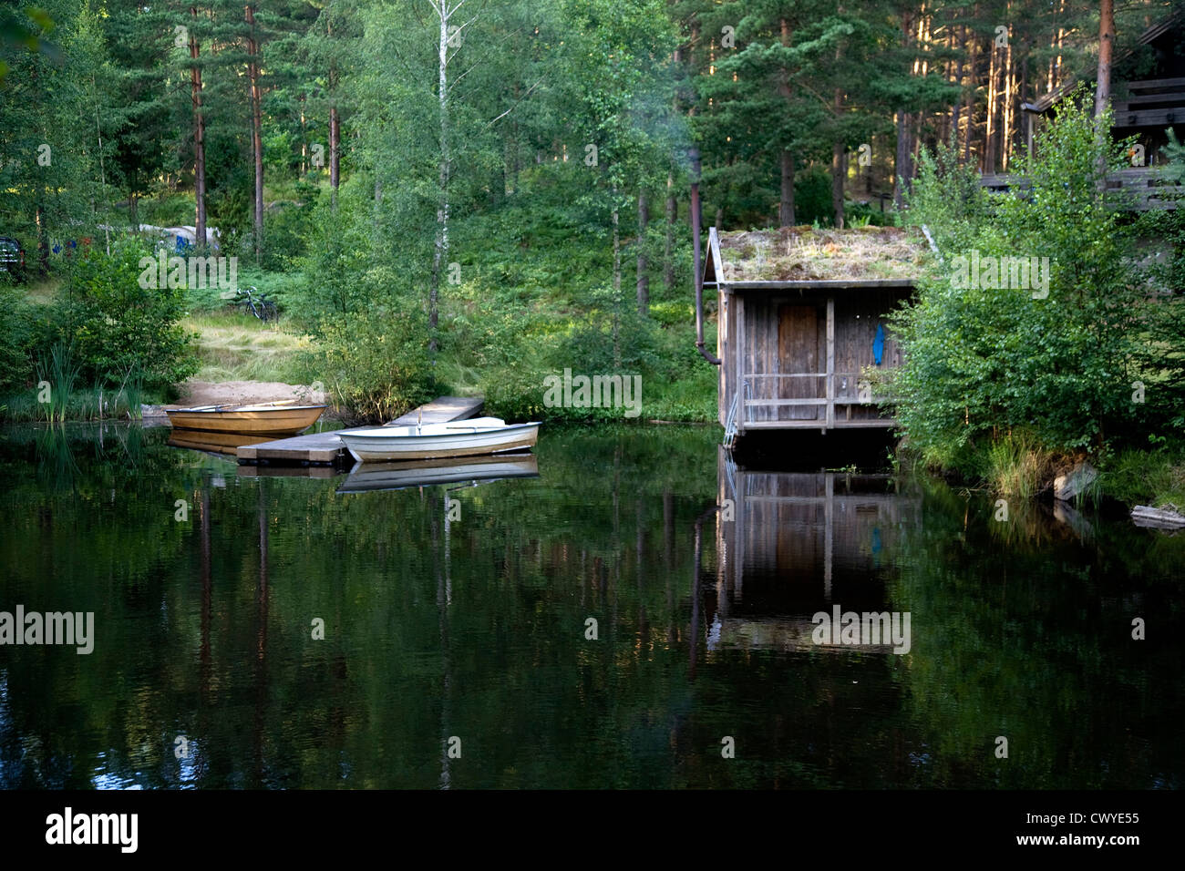 Lago svedese Foto Stock