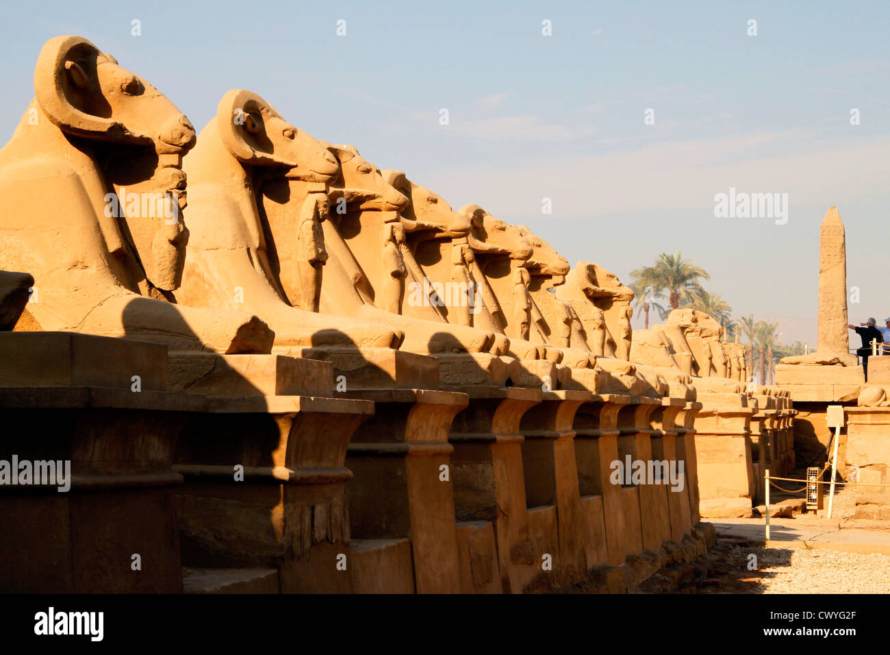 Vicolo di Aries Sphinx all'ingresso del tempio di Karnak, Egitto Foto Stock