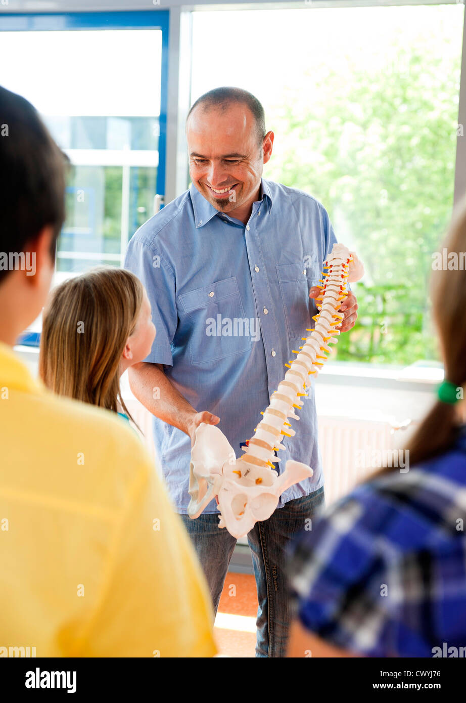 Insegnante che mostra la colonna vertebrale modello in classe Foto Stock