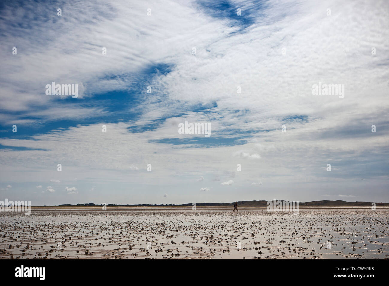 Appartamenti di fango sotto il cielo di nuvole, Sylt, Germania Foto Stock