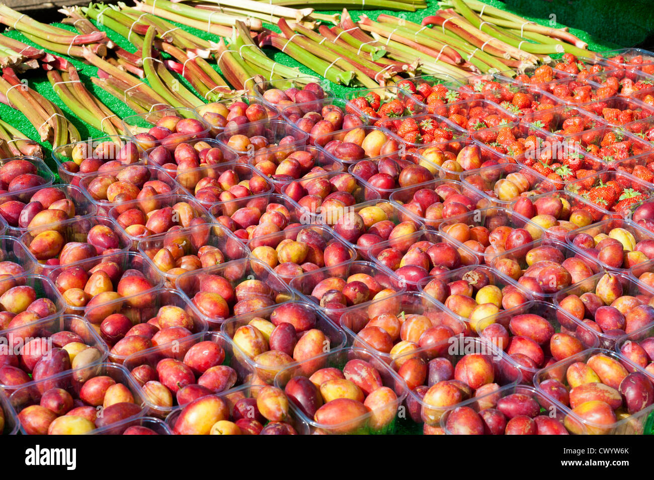 Succose Prugne e rabarbaro su un mercato agricolo in stallo. Alexandra Palace parco Muswell Hill London REGNO UNITO Foto Stock