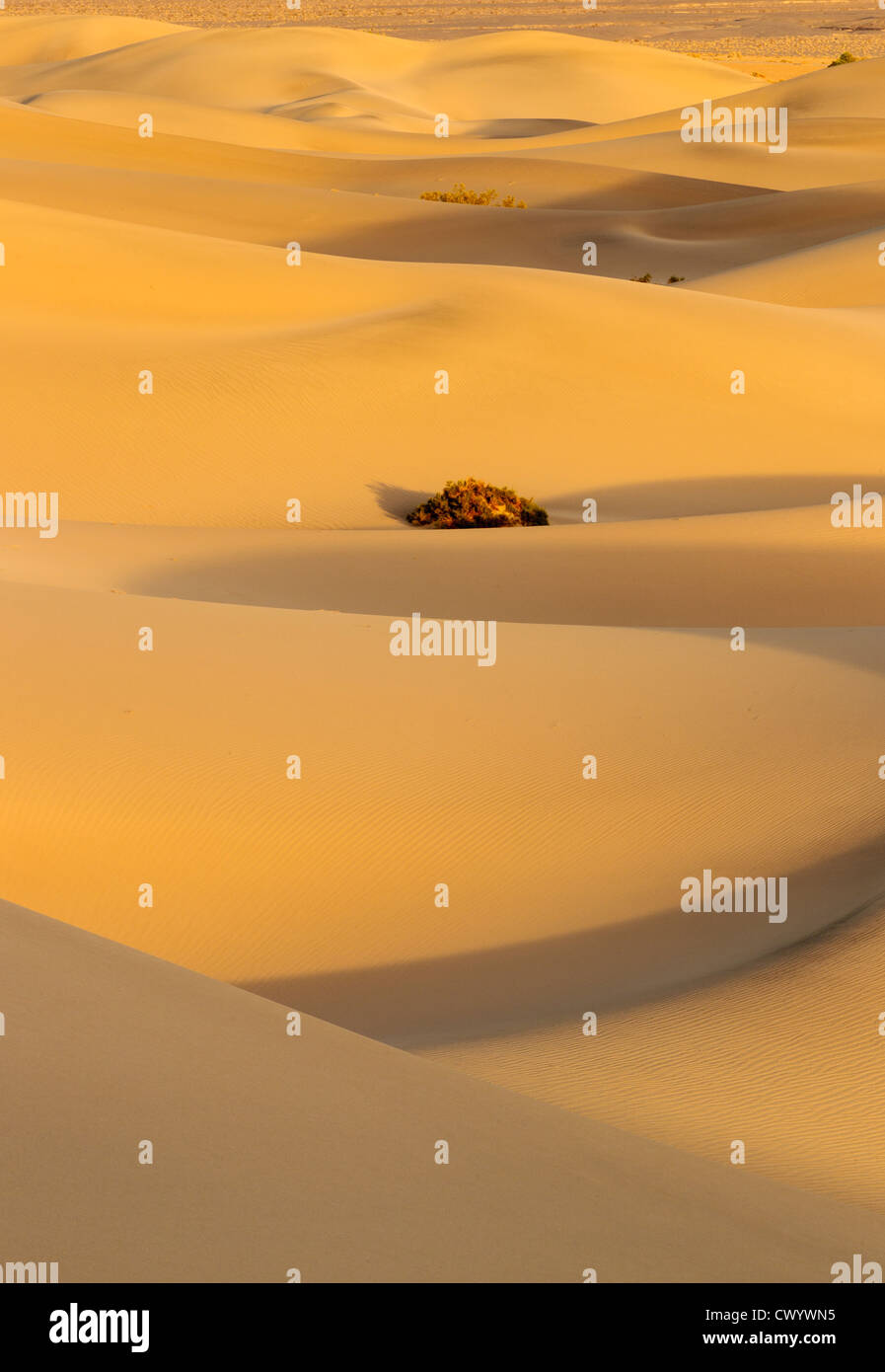Il vento ha eroso le forme di sabbia nella Valle della Morte Foto Stock