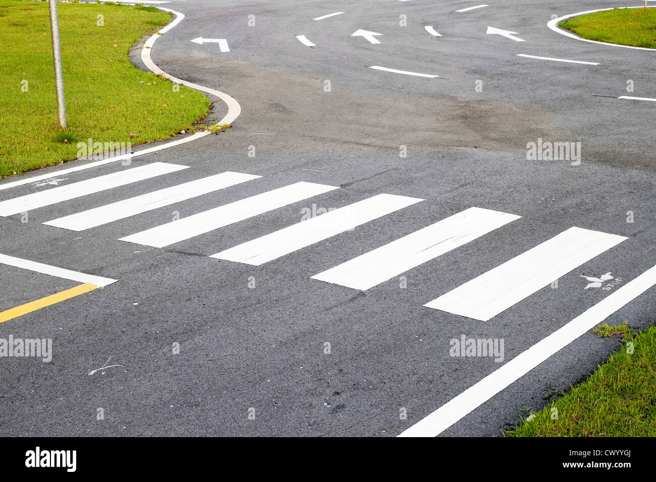 Modo di zebra sull'asfalto Foto Stock