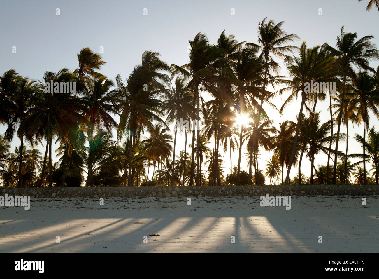 Tramonto e palme, Bwejuu beach, Zanzibar Africa Foto Stock