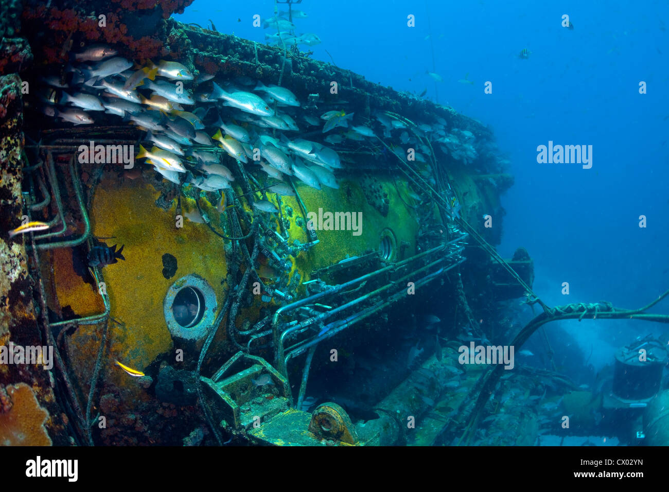Aquarius, un sottomarino di ocean laboratorio situato in Florida Keys National Marine Sanctuary. Foto Stock