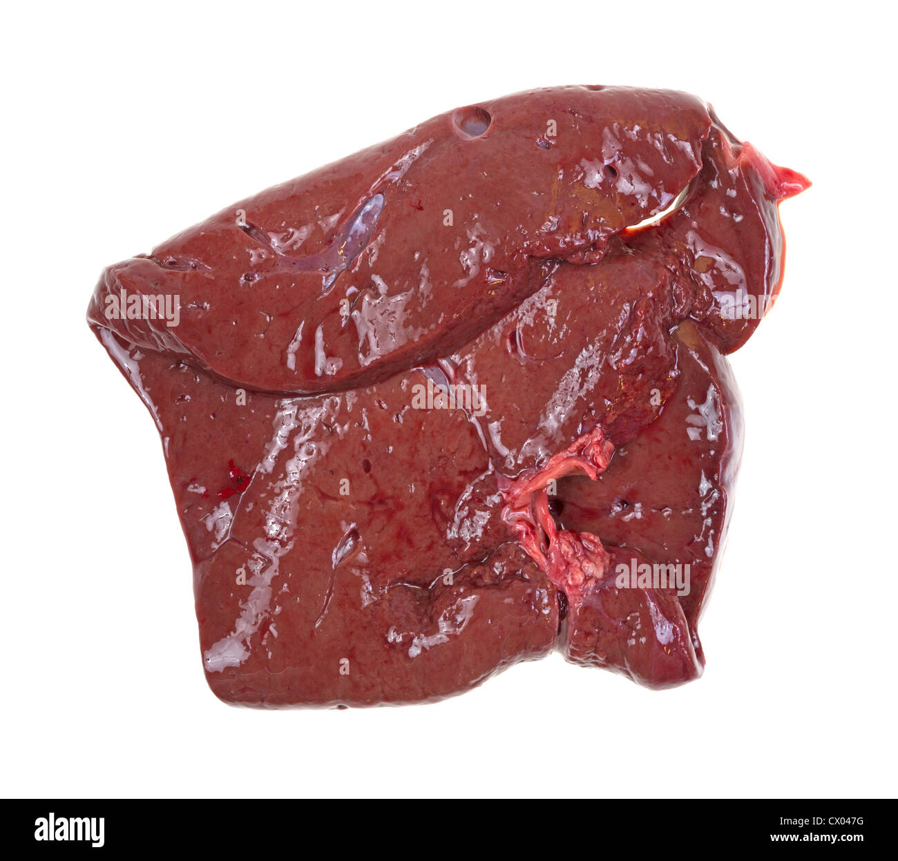 Vista superiore della carne di manzo crudo fegato su uno sfondo bianco. Foto Stock