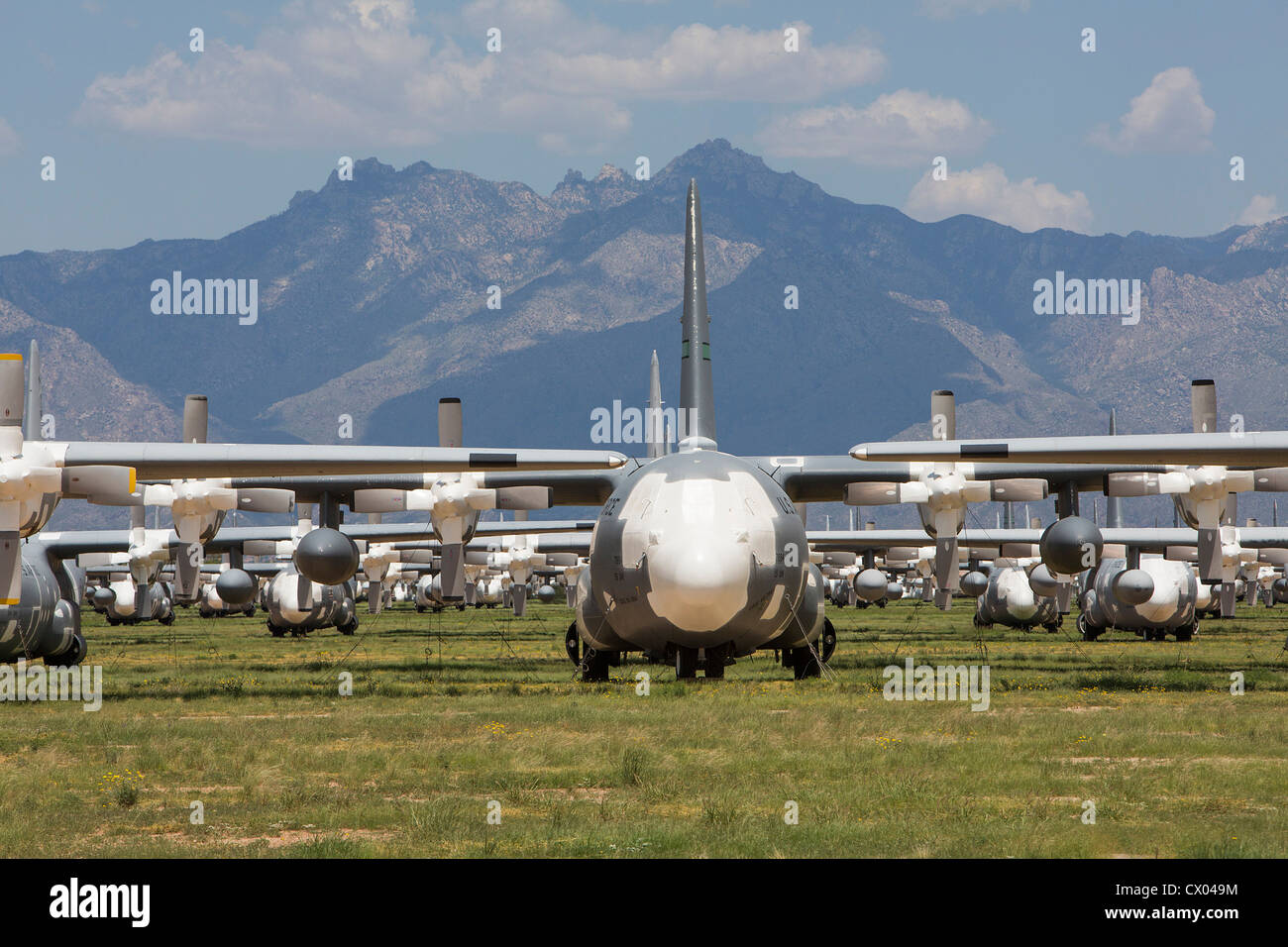 Lockheed C-130 Hercules aeromobile in deposito presso il 309th aerospaziali e di manutenzione Gruppo di rigenerazione a Davis-Monthan AFB. Foto Stock