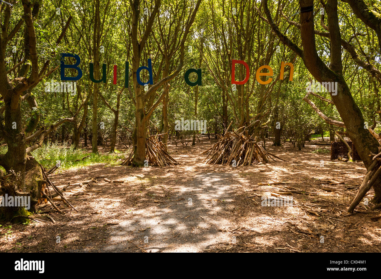 I bambini possono costruire un den a Minsmere RSPB bird reserve nel Suffolk , Inghilterra , Inghilterra , Regno Unito Foto Stock