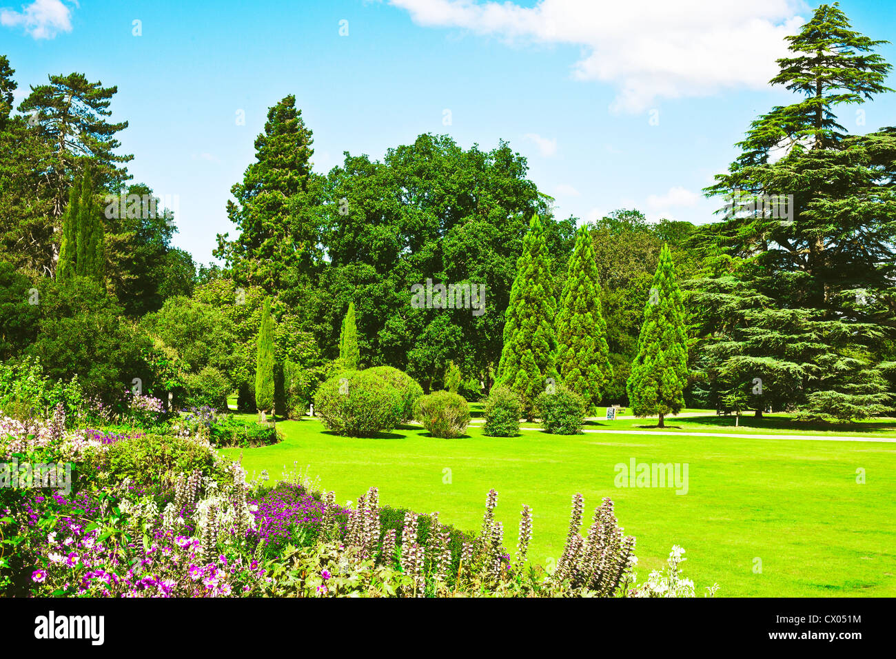Un grazioso giardino inglese in pieno di colore estivo Foto Stock