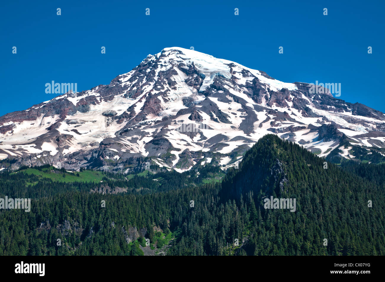 Il Parco Nazionale del Monte Rainier, Washington, Stati Uniti d'America. Foto Stock