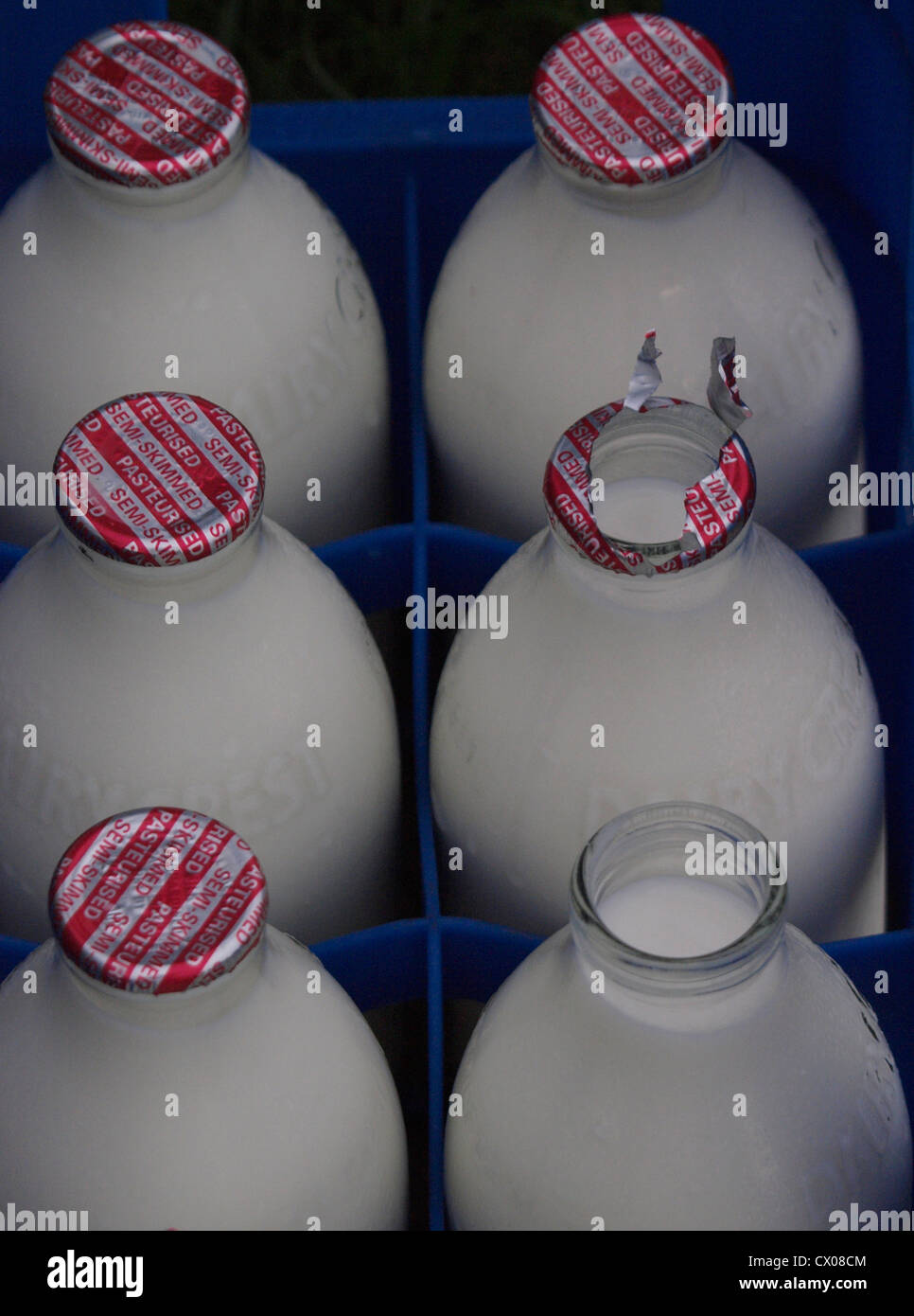 Bottiglie di latte dopo bird pecked hanno le cime, REGNO UNITO Foto Stock