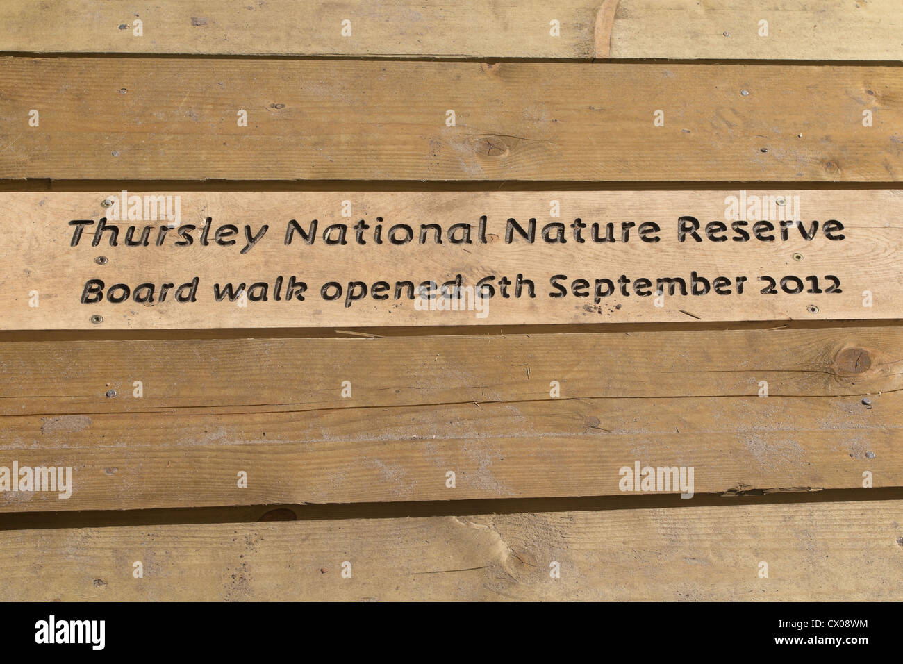 Aperto recentemente boardwalk attraverso zona umida. Comune Thursley Riserva Naturale Nazionale, Surrey, Regno Unito. Foto Stock