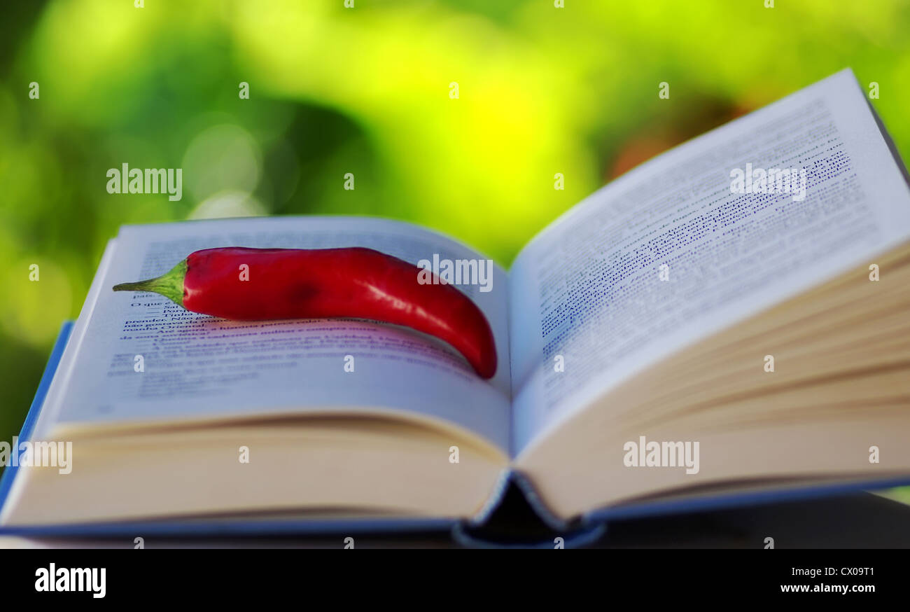 Red hot chili pepper sul libro aperto Foto Stock