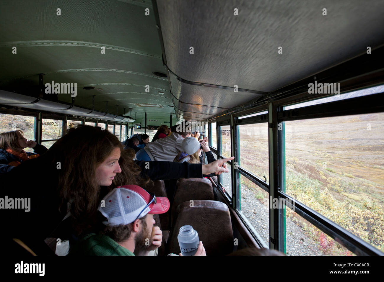 I turisti spotting wildlife dal servizio di parco autobus. Parco Nazionale di Denali. L'Alaska. Stati Uniti d'America Foto Stock
