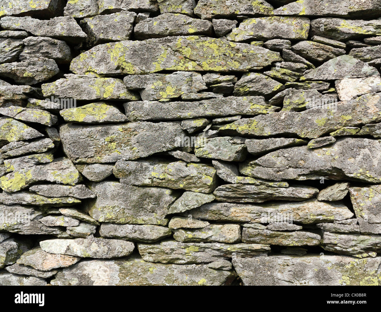 Close up secca di muro di pietra, Lake District, Cumbria, Inghilterra Foto Stock