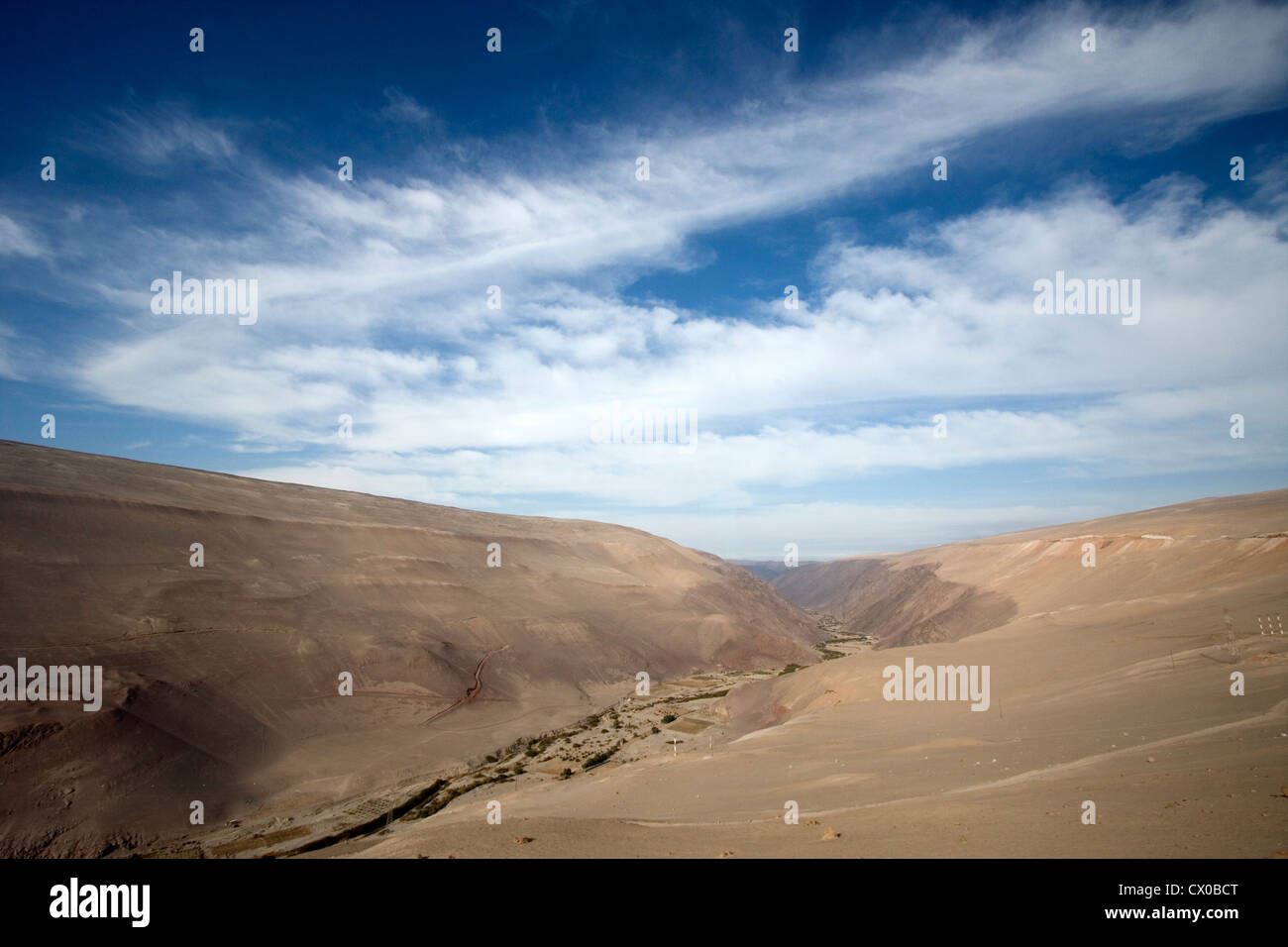 Valle lussureggiante nel deserto di Atacama, Cile Foto Stock