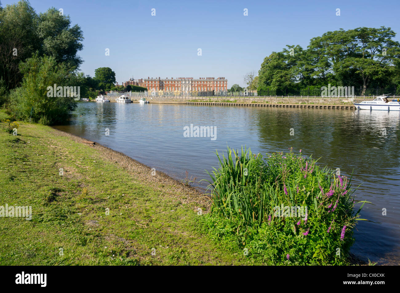 Europa, Regno Unito, Inghilterra, London, Hampton Court riverside Foto Stock