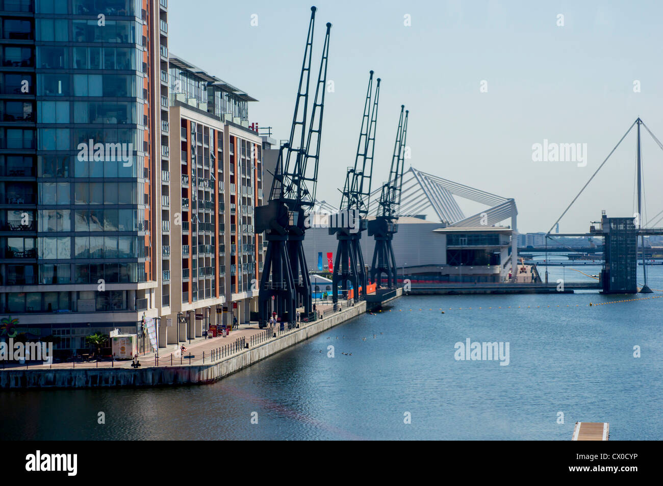 Regno Unito, Inghilterra, Londra, Royal Albert Dock Foto Stock