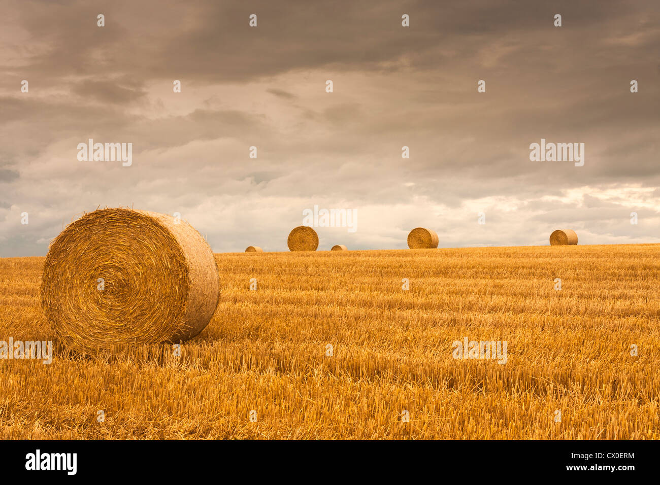 Appena raccolto campo con stoppie di grano e balle di paglia nella campagna inglese come il sole si sta esaurendo. Foto Stock