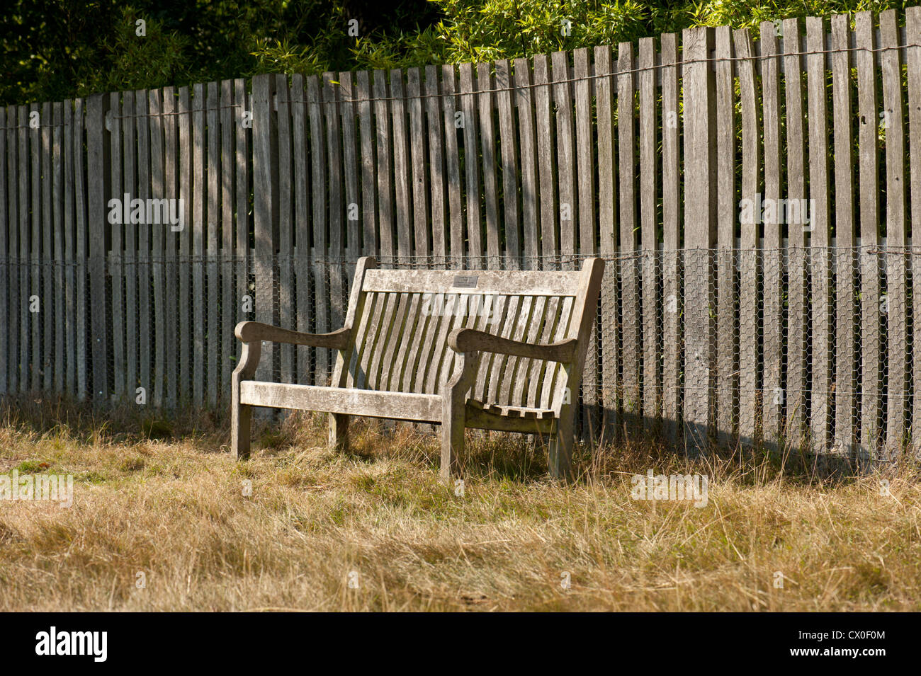 Una panca di legno accanto a una staccionata in legno a Bushy Park, Hampton Court, Surrey, Regno Unito. Foto Stock